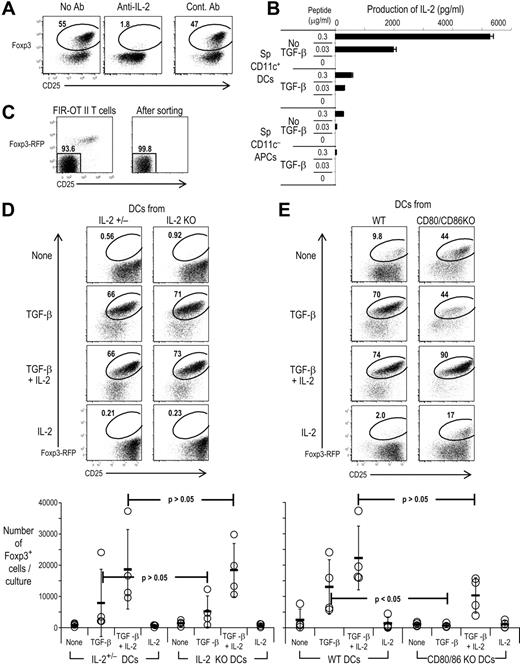 Figure 3. Endogenous IL-2 from T cells stimulated by CD80/CD86+/+ DCs is required for the differentiation of Foxp3+CD25+CD4+ T cells. (A) As in Figure 2, but Foxp3−CD25−CD4+ T cells from DO11.10 RAG−/− mice were cultured with spleen CD11c+ DCs with peptide plus TGF-β in the presence or absence of blocking anti–IL-2 Ab or control Abs (20 μg/mL). (B) Foxp3−CD25−CD4+ T cells from DO11.10 RAG−/− mice were cultured with spleen CD11c+ DCs (2 × 104) or CD11c− APCs (2 × 105) with indicated dose of peptide in the presence or absence of TGF-β. After day 5, culture supernatants were collected, and the concentration of IL-2 measured by Luminex. (C) CD4+ T cells from Foxp3-IRES-RFP knock-in OVA OTII CD4 transgenic mice (FIR-OTII) were stained with anti-CD4 and CD25 Abs, and Foxp3−CD25−CD4+ T cells were purified by flow cytometry (left). The purity of Foxp3−CD25−CD4+ T cells after sorting was higher than 99.5% (right; gated on CD4+ T cells. (D) The Foxp3−CD25−CD4+ T cells (2 × 104) from FIR-OTII mice were cultured with spleen CD11c+ DCs (2 × 104) for 5 days in the presence of peptide (0.03 μg/mL) with or without TGF-β (2 ng/mL) and/or IL-2 (100 U/mL). Cells were gated on CD4+ T cells. The absolute numbers of Foxp3+CD4+T cells per culture from 4 different experiments with spleen DCs or immature BM-DCs are shown. P value is provided by Student t test. (E) As in panel D, but spleen CD11c+ DCs or immature BM-DCs were prepared from CD80/CD86−/− or wild-type (WT) mice in the presence of peptide with or without TGF-β (2 ng/mL) and/or IL-2 (100 U/mL). Cells were gated on CD4+ T cells. The absolute numbers of Foxp3+CD4+ T cells per culture from 4 different experiments with spleen DCs or immature BM-DCs are shown. P value is provided by Student t test. Data are representative of 2 to 4 independent experiments.