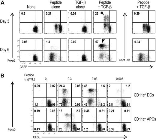 Figure 4. DC-induced, differentiating, peripheral Foxp3+CD25+CD4+ T cells undergo substantial proliferative activity. (A) As in Figure 2, but Foxp3−CD25−CD4+ T cells from DO11.10 RAG−/− mice (2 × 104) were CFSE labeled and cultured with CD11c+ DCs (2 × 104) from spleen with or without OVA peptide (0.03 μg/mL) in the presence or absence of TGF-β. At day 3 or day 6, cells were stained with anti-CD4 and KJ1.26 clonotype Abs. After fixation, cells were stained with anti-Foxp3 or isotype control mAb. Foxp3 expression and CFSE dilution were shown gated on CFSE+CD4+KJ1.26 clonotype+ T cells. indicates proliferating cells expressed Foxp3. (B) As in panel A, but CFSE-labeled DO11.10 RAG−/− Foxp3−CD25−CD4+ T cells were cultured with spleen CD11c+ DCs (2 × 104) or DC-depleted spleen cells (CD11c− APC, 2 × 105) at the indicated dose of peptide in the presence of TGF-β (2 ng/mL). Foxp3 expression and CFSE dilution were analyzed at day 6. Data are representative of 2 independent experiments.