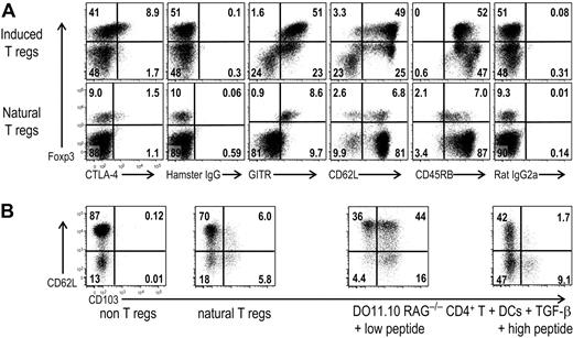 Figure 5. DC-induced Foxp3+T regs have a comparable phenotype to natural T regs. (A) As in Figure 2, but Foxp3−CD25−CD4+ T cells from DO11.10 RAG−/− mice were cultured with CD11c+ spleen DCs and 0.03 μg/mL peptide in the presence of TGF-β. These cultured cells (top) or freshly isolated spleen cells from DO11.10 RAG+/+ mice (bottom) were stained with mAbs to CD4, clonotype (KJ1.26), and the indicated Abs or isotype controls. Plots were gated on CD4+ KJ1.26+ cells for the induced T regs (top) and on CD4+ cells for freshly isolated spleen cells (bottom). (B) Freshly isolated spleen cells from DO11.10 RAG+/+ mice (non–T regs, natural T regs) or the cultured cells as in panel A but with low peptide (0.03 μg/mL) or high peptide (0.3 μg/mL) were stained with CD4, clonotype (KJ1.26), CD62L, CD103, and Foxp3 Abs. Plots for non-T regs were gated on Foxp3−CD25−CD4+ T cells, and plots for natural T regs were gated on Foxp3+CD25+CD4+ T cells. Plots were gated on Foxp3+CD4+KJ1.26+ cells for cultured cells. Data are representative of 2 to 4 independent experiments.
