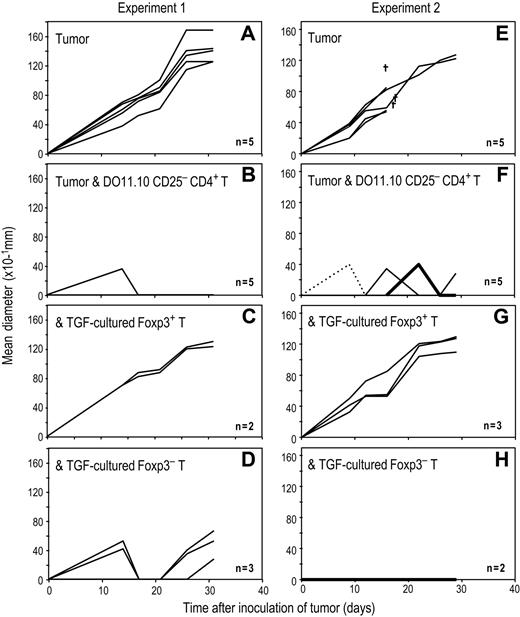 Figure 7. DC-induced Foxp3+ T cells suppress OVA specific immunity in vivo. (A) BALB/c mice were sublethally irradiated (4.5 Gy). After 6 hours, they were injected intradermally on back with OVA-expressing A20 tumor (4 × 106). (B) As in panel A, but irradiated recipients were injected intradermally with OVA-expressing A20 tumor and were also injected intravenously with freshly isolated CD25−CD4+ T cells (2 × 106) from DO11.10 RAG−/− mice. (C) As in panel B, but irradiated recipients were injected intradermally with OVA-expressing A20 tumor and were also injected intravenously with freshly isolated CD25−CD4+ T cells from DO11.10 RAG−/− mice along with the TGF-β cultured Foxp3+ T regs (2 × 106). The TGF-β cultured Foxp3+ T regs were induced by DCs and TGF-β from RAG−/− DO11.10 mice and purified as in Figure 6A and supplemental Figure 9. (D) As in panel C, but instead of the TGF-cultured Foxp3+ T regs, TGF-cultured Foxp3− T cells (2 × 106) were injected. The TGF-cultured Foxp3− T cells were from the same culture with panel C and purified as in Figure 7A-C. (E-H) The same experiment with panels A-D was repeated.