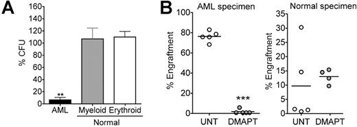 Figure 2. Progenitor/stem cell functional assays for DMAPT treated cells. (A) AML versus normal cells were treated with 5 μM DMAPT for 18 hours in suspension culture, followed by plating in methylcellulose culture. Horizontal bars represent the mean. **P < .001 AML versus erythroid and AML versus myeloid. The percentage of colony-forming units (CFU) was normalized to untreated control. All assays were performed in triplicate. Error bars represent SEM. (B) Representative examples of the percentage of engraftment achieved in NOD/SCID mice receiving AML (left panel) or normal CB (right panel) cells after 18 hours of culture with or without 7.5 μM DMAPT. Each symbol represents a single animal analyzed at 6 to 8 weeks after transplantation. Mean engraftment is indicated by the horizontal bars. ***P < .001 DMAPT versus untreated (UNT).