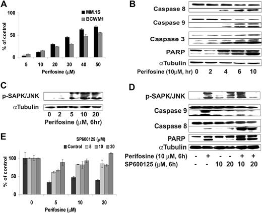 Figure 5. Perifosine induces SAPK/JNK-dependent MM cell apoptosis. (A) MM.1S and BCWM.1 cells were cultured with perifosine (5-50 μM) for 48 hours. Then the percentage of cells undergoing apoptosis was studied using Apo2.7 staining and flow cytometry. (B) BCWM.1 cells were cultured with perifosine (10 μM) for the indicated periods. Whole cell lysates were subjected to Western blotting using anti-caspase 9, -caspase 8, -PARP, and α-tubulin antibodies. Horizontal lines have been inserted to indicate a repositioned gel lane. (C) BCWM.1 cells were cultured with perifosine (2-20 μM) for 6 hours. Whole cell lysates were subjected to Western blotting using anti–p-SAPK/JNK and α-tubulin antibodies. (D) BCWM.1 was cultured with control media, perifosine (10 μM), SP600125 (5-20 μM), or perifosine (10 μM) plus SP600125 (10 μM and 20 μM) for 10 hours. Whole cell lysates were subjected to Western blotting using anti–p-SAPK/JNK, -caspase 9, -caspase 8, -PARP, and α-tubulin antibodies. Horizontal lines have been inserted to indicate a repositioned gel lane. (E) BCWM.1 cells were cultured for 48 hours with media and with perifosine (5-20 μM) in the absence or presence of 5 to 20 μM of JNK inhibitor SP600125. Cytotoxicity was assessed by the MTT assay. All data represent mean (± SD) of triplicate experiment (A,E).