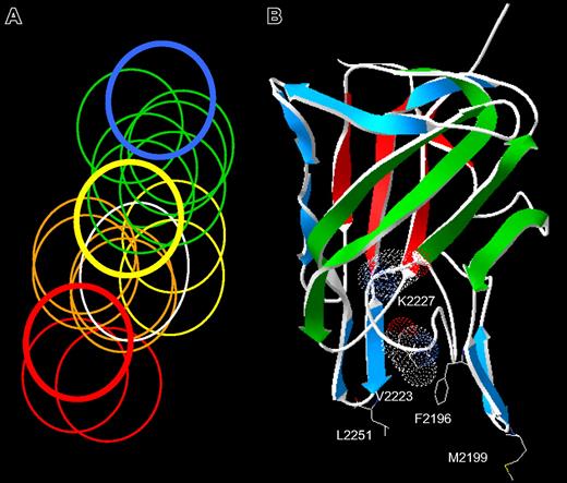 Figure 2. The spectrum of anti-C2 antibody epitopes. (A) Venn diagram representing overlapping anti-C2 MAbs. The overlap pattern of 18 ellipses is derived from the competition matrix of 30 MAbs in Figure 1B. Colors depict the 5 classes of MAbs: red, group A; orange, group AB; yellow, group B; green, group BC; and blue, group C. The thick lines represent the basis set MAbs: red, ESH4 (group A); yellow, 1B5 (group B); and blue, ESH8 (group C). The white ellipse represents the epitope of BO2C11. (B) Amino acid side chains recognized by anti-C2 MAbs. The strands representing the front and back faces of the β-sandwich are shown in green and red, respectively.23 Single-letter nomenclature is used to designate amino acids. Val2223 and Lys2227 are shown as van der Waals surfaces. The group AB MAbs, I109 and BO2C11, bind to the 2 phospholipid-binding β-hairpins containing Met2199 and Leu2251, respectively. The group B MAb, 3D12, binds to Phe2196. The group BC MAbs bind to Lys2227 and possibly Val2223.