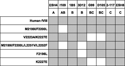 Figure 3. Binding of anti-C2 MAbs to fVIII C2 mutants. The binding of anti-C2 antibodies to fVIII captured in microtiter wells using an anti-A2 MAb was detected using streptavidin–alkaline phosphatase conjugate. Gray boxes represent binding of the MAb detected by color development.