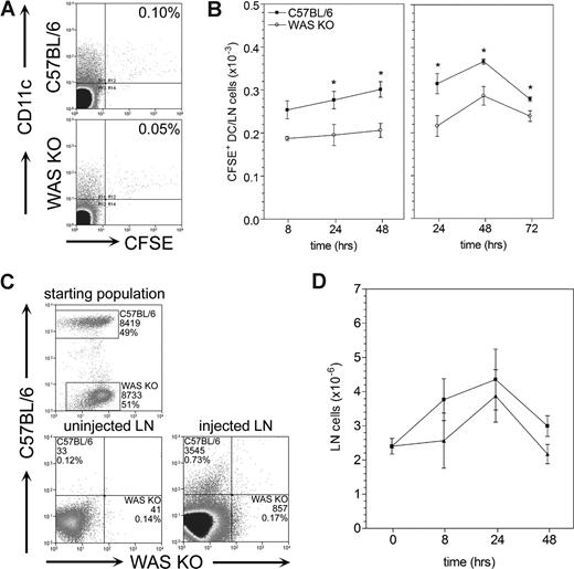Figure 2. Decreased in vivo migration of WAS KO DCs compared with C57BL/6 DCs. DCs were CFSE labeled in vitro and injected subcutaneously into wild-type C57BL/6 recipients. DC migration was assessed by quantifying the number of CFSE+ DCs in the draining lymph nodes. (A) WAS KO DCs showed a decreased ability to migrate to the draining lymph nodes. (B) Quantification showed that both in unprimed and TNF-α–primed mice, WAS KO DCs have decreased migration in vivo. (C) Injection of a 1:1 mixture of C57BL/6 CFSE+ DCs and WAS KO DiI+ DCs confirmed that migration of WAS KO DCs was reduced compared with C57BL/6 DCs. (D) A similar increase in lymph node cellularity induced by migration was observed for both WAS KO and C57BL/6 DCs. Fluorescence-activated cell sorting (FACS) plots shown in panel A are after 24 hours and representative of 6 mice. Data shown in panels B and D are averages plus or minus SEM of 2 to 6 mice per group, *P < .05. Data shown in panel C are representative of 2 mice.
