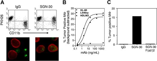 Figure 1. SGN-30 mediates ADCP activity in vitro. (A) Representative flow cytometry analysis and fluorescence microscopy of SGN-30-mediated phagocytosis. For flow cytometry, L540cy, HDLM-2, Wil-2S, and HL-60 target cells were labeled with PKH26 lipophilic dye for tracking purposes, and treated with SGN-30 or non-binding control IgG and mixed with monocyte-derived macrophages (MΦ). MΦ were stained with PE-conjugated anti-CD11b. Cells present in the upper right quadrant (PKH26+CD11b+) are MΦ that internalized tumor cells. For microscopy, tumor cells were labeled with PKH67 (green), and the macrophages were detected with Alexa Fluor 568-conjugated antibody specific for CD11b (red). (B) Tumor targets were treated with various concentrations of SGN-30 before incubation with MΦ. The levels of MΦ that engulfed tumor cells were determined by flow cytometry (C). WIL2-S cells were incubated with SGN-30, SGN-30 F(ab′)2, or nonbinding control IgG before incubation with MΦ and analyzed by flow cytometry.