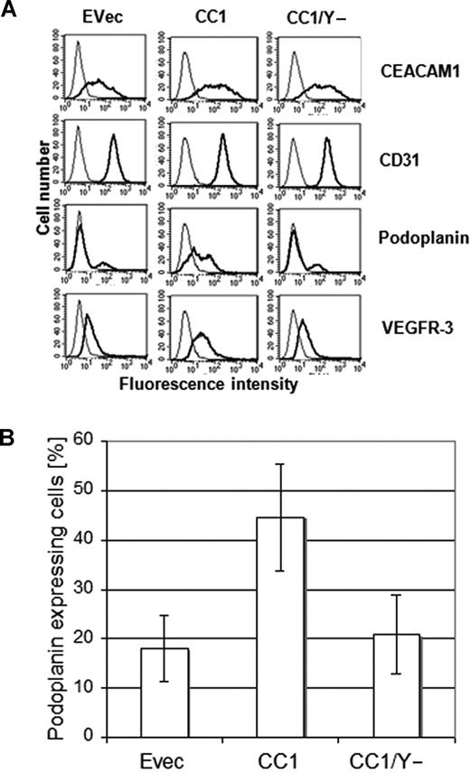Figure 4. Increased podoplanin expression in endothelial cells by CEACAM1 overexpression. (A) As demonstrated by these FACS scan studies the transfection of HDMECs for CEACAM1 (CC1) and CEACAM1/y− (CC1/y−) was efficient (top). Remarkably, there is a significantly higher amount of podoplanin in HDMECs overexpressing CEACAM1 (CC1), while no change is detectable in HDMECs transfected with empty vector (Evec) or CEACAM1/y− (CC1/y−). The level of VEGFR-3 is enhanced only by CEACAM1 overexpression (CC1). No alteration is observed in the expression level of CD31 used as control. (B) The quantification of these repeatedly reproduced data show clearly that full-length CEACAM1 induces a significant up-regulation of podoplanin but not mutated CEACAM1/y−. Error bars represent the standard deviation.