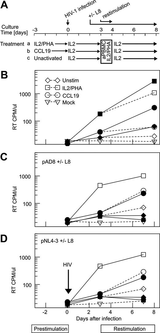 Figure 2. Detection of virus after restimulation of infected cells. (A) Method used for infection and restimulation. Resting CD4+ T cells cultured for 3 days with CCL19 or PHA/IL-2 or left unactivated were subjected to a second round of activation by the addition of activated PBMCs (aPBMC) at a ratio of 1:1 together with PHA and IL-2. The PHA was removed the next day, and cultures were maintained in IL-2 alone. In some experiments, the integrase inhibitor L8 was added before the second stimulation. As a control for the activity of L8, L8 was added 24 hours before the initial infection of PHA-stimulated PBMCs. Supernatants and cells were collected for quantification of RT and integrated HIV-1 DNA, respectively. (B) RT production after restimulation of resting CD4+ T cells. Resting CD4+ T cells were cultured for 3 days with CCL19 (●), or IL2/PHA (■) or unactivated (△) before infection with HIV-1 AD8 or mock (△). Cultures were restimulated (closed symbols, solid lines) or not restimulated (open symbols, dashed lines) as described above in panel A. RT activity in culture supernatant from a representative experiment is shown (from 3 replicate experiments). (C) RT production after restimulation in the presence and absence of an integrase inhibitor. Resting CD4+ T cells were cultured for 3 days with CCL19 (●) or unactivated (◇) before infection with HIV-1 AD8 or mock (△). Integration competent virus in CCL19-activated or unactivated CD4+ T cells was identified by culture in the presence (closed symbols, solid lines) or absence (open symbols, dashed lines) of an HIV-1 integrase inhibitor (L-8; Merck) for 24 hours before the second round of activation with PBMC, PHA and IL-2. The PHA was removed the next day and the cultures were kept in IL-2 with or without L-8. As a control for activity of L8, PBMCs were stimulated with PHA/IL-2 and then infected in the presence (■) or absence (□) of L8 (added 24 hours before infection). RT activity in culture supernatant from a representative experiment is shown (from a total of 4 replicate experiments). (D) The identical experiment to panel C but infection was with pNL4.3. RT activity in culture supernatant from a representative experiment is shown (from a total of 2 replicate experiments).