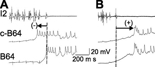 Figure 5. ChIP-chip analysis of H3K4 methylation across 220 kb of chromosome 16p13.3. H3K4me1, -me2, and -me3 in cells collected on day 8 of the second phase of culture (Day 8 Ery) and in EBV-transformed lymphoblastoid cell lines (EBV-Ly) are shown. The y-axis represents enrichment of ChIP DNA over input DNA from one experiment. A very similar pattern of enrichment was seen for each biologic replicate. All replicates are available at the following website: http://www.imm.ox.ac.uk/groups/mrc_molhaem/home_pages/Higgs. A schematic representation of the α globin locus is shown at the top and annotated as in Figure 1.