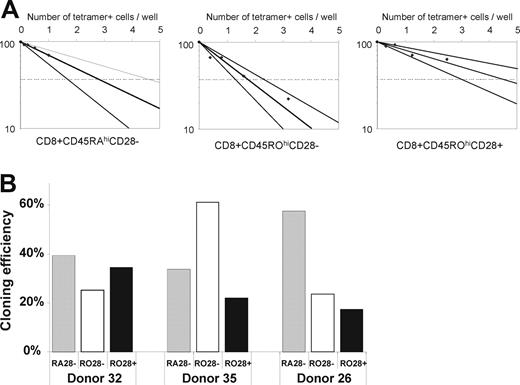 Figure 1. Cloning efficiency of sorted subpopulations of HCMV-specific CD8+ T cells in limiting dilution analysis. (A) Limiting dilution analysis of sorted CD28−CD45RO− cells, CD28−CD45ROhi cells, and CD28+ CD45ROhi cells (donor 35). The initial number of multimer-positive cells per well was calculated from the initial number of cells per well multiplied by the initial proportion of multimer-positive cells in each subpopulation determined by flow cytometry. (B) Cloning efficiency of each subpopulation in 3 healthy HCMV-seropositive donors; CD28−CD45RO− cells (), CD28−CD45ROhi cells () and CD28+ CD45ROhi cells ().