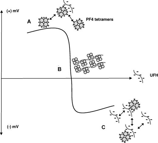 Figure 6. Zeta potential depiction of PF4 and heparin colloidal interactions. Y-axis represents positive or negative electrostatic potential as a function of increasing concentrations of UFH (on x-axis). (A) Positively charged PF4 molecules remain stably dispersed in the absence of heparin due to repulsive interactions. (B) With increasing amounts of heparin, PF4 charges are neutralized promoting floc or macromolecular assembly. (C) With heparin in molar excess, repulsive interactions once again predominate, leading to stable dispersion of smaller particles.