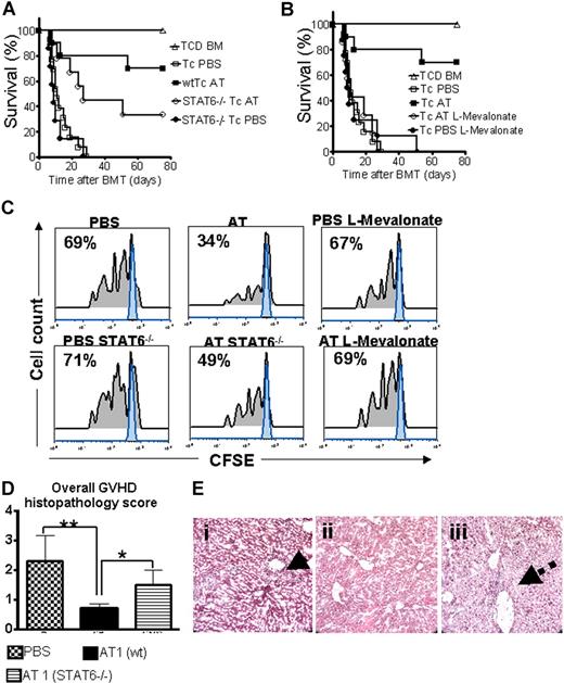 Figure 5. STAT6 deficiency allows only for partial protection by AT while L-mevalonate reverses the protective statin effect. C57BL/6 mice (H-2b, Th-1.1) were given 5 × 106 TCD-BM cells and 2 × 106 CD4+/CD8+ (4:1) T cells (both H-2d, Thy-1.2) after lethal irradiation with 800 cGy. Donor animals were fed with either PBS or AT for 10 days prior to transplantation. (A) Survival of mice receiving TCD-BM (▵, n = 15) with T cells from PBS-treated donors (□, n = 15), atorvastatin-treated (AT, 10 mg/kg) wt donors (■, n = 15), and STAT6-deficient donors treated with PBS (●, n = 15) or AT (○, n = 15). Percentage survival of Balb/c recipients is significantly higher when T cells are derived from wt donors as compared with STAT6-deficient donors when both are treated with AT (■ vs ○, P = .02). Data from 2 independent experiments are combined. (B) Survival of mice receiving TCD-BM (▵, n = 15) with T cells from PBS-treated donors (□, n = 15), atorvastatin-treated (AT, 10 mg/kg) donors (■, n = 15), AT with L-mevalonate pretreatment (○, n = 15), and PBS with L-mevalonate (●, n = 15). Percentage survival of Balb/c recipients is significantly higher when T cells are derived from AT as compared with AT with L-mevalonate–treated donors (■ vs ○, P = .004). Data from 2 independent experiments are combined. (C) In vivo expansion of CFSE-labeled Balb/c (H-2Kd, Thy-1.2+) CD4 T cells in C57BL/6 recipients (H-2Kd Thy-1.1+) on day 3 after BMT is depicted. Percentages of T cells having undergone cell division are indicated in the left upper corner of each histogram. Proliferation of T cells in the group pretreated with AT is significantly reduced as compared with PBS, STAT6−/− with AT, and AT with L-mevalonate (P < .05). (D) At 10 days after transplantation, mice from the indicated group were killed and sections of small bowel, large bowel, and liver were stained with H&E. Slides were analyzed by a pathologist blinded to the treatment groups (N.K.) for evidence of pathologic damage. Histopathologic scoring was performed as described in “GVHD histopathology scoring” with a range from 0 (absence of GVHD signs) to 4 (maximal GVHD damage). Data are pooled from 3 experiments, representing 6 animals per group. (E) Histopathologic evaluation of representative liver samples collected 10 days after transplantation is shown for the PBS group (i) and the groups where donor T cells are derived from AT-treated wt (ii) or STAT6−/− (iii) donors. Maximal liver tissue damage and strong lymphocytic infiltration surrounding the bile duct region as indicated by the solid arrow (i), minimal tissue damage (ii), intermediate liver damage, and low degree of lymphocytic infiltration surrounding the bile duct (iii) (dashed arrow). Magnification is ×400.