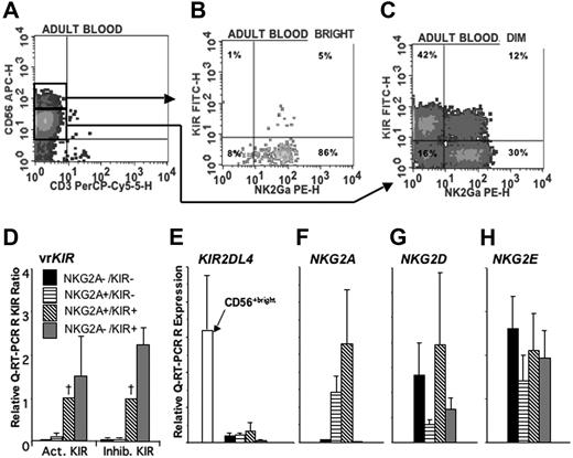 Figure 2. NKG2A and KIR expression distinguishes populations of CD56dim NK cells. PBMCs were enriched for NK cells using a negative immunomagnetic bead depletion strategy. A representative example of a 4-color analysis shows gating of (A) CD56bright and CD56dim cells and analysis of the expression of NKG2A and KIR (using a cocktail of EB6, GL183, and DX9 mAbs) on (B) CD56bright and (C) CD56dim cells. Each of the 4 subpopulations shown in panel C was sorted and then analyzed by Q-RT-PCR for the expression of (D) KIR exhibiting variegated expression (vr) (n = 33 reactions), (E) KIR2DL4 (n = 6), (F) NKG2A (n = 7), (G) NKG2D (n = 7), and (H) NKG2E (n = 7). The numbers of NKG2 and KIR2DL4 transcripts in each subpopulation are compared with the positive control of IL-2 activated NK cells to give a relative expression. For comparison of vrKIR expression in the 4 subpopulations, the data for each KIR were normalized to those of the NKG2A+KIR+ (designated by a †). These values were used to calculate a mean relative expression for the activating (KIR2DS1–3, 2DS5, 3DS1) and inhibitory (KIR2DL1–3, 2DL5, 3DL1, 3DL2). When a KIR was not expressed in the NKG2A+KIR+ population, indicating absence of the gene, it was excluded from the calculation of mean relative expression. Error bars indicate SEM.