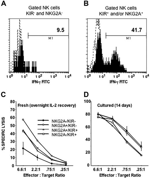 Figure 5. CD56 dim NK cells lacking NKG2A and KIR are functionally immature. PBMCs were incubated overnight with IL-12 and IL-18 and then stained with anti-CD56, anti-CD3, a cocktail of NKG2A and KIR antibodies, and IFN-γ for (A) CD56dim NKG2A−KIR− cells or (B) CD56dim NKG2A+ and/or KIR+ cells. Shown is a representative example of 12 experiments that all gave similar results. Sorted NKG2A−KIR−, NKG2A+KIR−, NKG2A−KIR+, and NKG2A+KIR+ populations were tested for cytolysis of K562 target cells in a 4-hour chromium release assay after (C) a 16-hour incubation with IL-2 (n = 6), to allow recovery of cytolytic machinery, or (D) after 14 days of maturation on EL08–1D2 and IL-15 (n = 4). After short-term culture with IL-2 the NKG2A−KIR− population exhibited a marked lack of cytolytic activity compared with the other populations (all P < .05). After maturation in culture for 14 days this difference was no longer apparent.