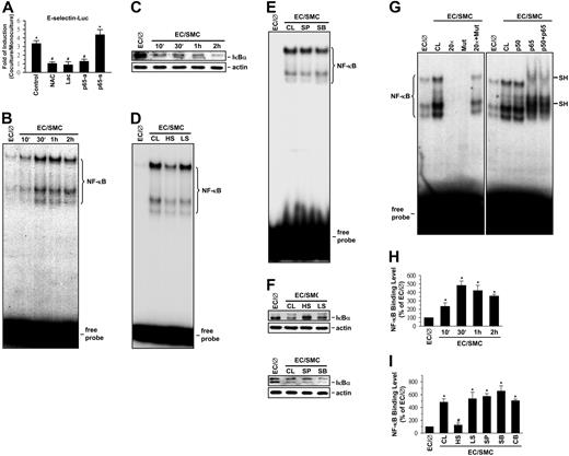 Figure 4. NF-κB is involved in SMC and shear stress modulations of E-selectin expression in ECs. ECs were kept as controls (EC/∅) or cocultured with SMCs in the adjacent-bilayer model (EC/SMC) for 30 minutes (D-G,I), 24 hours (A), or indicated times (B,C,H). Before kept as controls or coculture with SMCs, ECs were (1) transfected with E-selectin–Luc for 48 hours and/or pretreated with antisense (p65-a; 1 μg/mL) or sense (p65-s; 1 μg/mL) oligonucleotides to the NF-κB subunit p65 for 24 hours or with lactacystin (Lac; 20 μM) or N-acetyl-cysteine (NAC; 20 mM) for 1 hour (A), (2) presheared at HSS (HS) or LSS (LS) for 24 hours (D,F,I), or (3) pretreated with SP600125 (SP; 20 μM) or SB203580 (SB; 10 μM) individually or in combination (CB) for 1 hour (E,F,I). Control ECs (CL) were cocultured with SMCs without any preshearing (D,F,I) or pretreatment (D,F,I). The E-selectin promoter activity (A), NF-κB–DNA binding activity (B,D,E,G), IκBα protein expression (C,F), and in vivo NF-κB–promoter binding (H-I) in these ECs were determined by using luciferase assay (A), EMSA (B,D,E,G), Western blot analysis (C,F), and ChIP assay (H,I), respectively, as described in “Materials and methods.” In some experiments (G), EMSA was performed using total nuclear extracts and 32P-labeled oligonucleotides containing wild-type (CL) or mutant (Mut) human E-selectin NF-κB binding sites. The specificity of the retarded complexes (NF-κB) was assessed by preincubating the nuclear extracts either with 20-fold excess unlabeled oligonucleotides (wild-type or mutant) as a competitor or with p50 and/or p65 antibodies (1 μg). Nuclear extracts preincubated with the p65 antibody show a super shift band (SH) (G). (B-G) The results are representative of 2 or 3 independent experiments with similar results. (A,H-I) Data are represented as mean ± SEM from 3 to 5 independent experiments. *P < .05 versus control EC/∅. #P < .05 versus control EC/SMC.