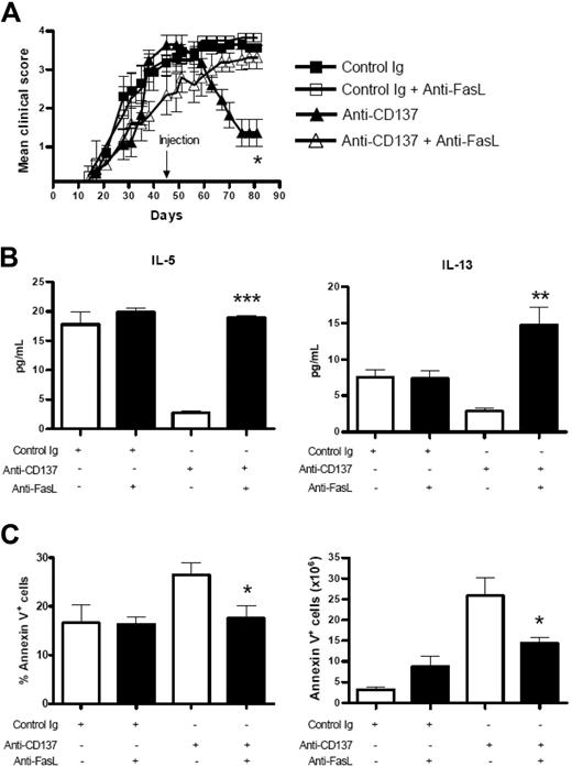 Figure 4. The Fas pathway is required for the therapeutic effect of anti-CD137 on cutaneous GVHD. (A,B) Anti-CD137 (200 μg per mouse) was administered 45 days after disease induction. Anti-FasL (200 μg per mouse) treatment occurred on days 43, 45, and 47. Forty days later, clinical scores for each mouse were evaluated and mice were killed for preparation of splenocytes (n = 6-7 for each group). (A) Changes of mean clinical scores. *P < .05 between the group of mice that received anti-CD137 and the group of mice that received anti-CD137 and anti-FasL. (B) Splenocytes were prepared and stimulated for 2 days in the presence of PMA and ionomycin. Culture supernatants were collected and levels of IL-5, IL-13, and IFN-γ were analyzed by ELISA. IFN-γ was undetectable. **P < .01 and **P < .001 between the group of mice that received anti-CD137 and the group of mice that received anti-CD137 and anti-FasL. (C) Anti-CD137 (200 μg per mouse) was administered 30 days after disease induction. Anti-FasL (200 μg per mouse) treatment occurred on days 28, 30, and 32. Splenocytes were prepared 5 days after treatment with anti-CD137 and triple-stained with anti-CD4, anti-Ly9.1, and annexin V. Ly9.1−CD4+ T cells were gated and analyzed for annexin V staining. *P < .05, between the group of mice that received anti-CD137 and the group of mice that received anti-CD137 and anti-FasL (n = 6-7 per group).