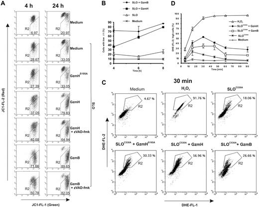 Figure 3. GzmH triggers mitochondrial depolarization and ROS. (A) GzmH induces a loss of the mitochondrial membrane potential ΔΨm. K562 cells were treated with GzmH or GzmB in the presence or absence of the pancaspase inhibitor for 4 or 24 hours and analyzed by flow cytometry after JC-1 staining. The loss of ΔΨm is detected by a decrease of red fluorescence (FL2) and has been quantified by the percentage of cells appearing in the R2 region. (B) Accumulation of cells with loss of ΔΨm over time. The experiment shows the mean of triplicates (± SD) and is representative of 2 experiments. Depolarization in most cells was already observed at the 4-hour time point after GzmB treatment; comparable effects were visible after 8 hours in GzmH-treated cells. (C) ROS levels measured by DHE staining in GzmH- and GzmB-treated K562 cells after 30 minutes and over the first 90 minutes. K562 cells were treated with the indicated granzymes and SLOC530A, a mutated SLO variant that needs no prior reductive activation. The dye is oxidized by ROS to the strongly red fluorescent ethidium (R2 in the dot blots). H2O2 (1%) was used as positive control. (D) GzmH induced a rapid but transient ROS increase that peaked after 30 minutes. The data represent the average percentage of cells in area R2 of the raw FACS data. Shown is the mean of triplicates ± SD of 1 experiment representative of 2 experiments.