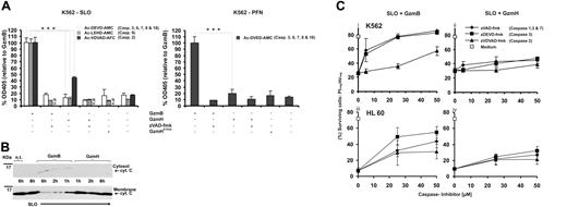 Figure 4. GzmH kills independent of caspases. (A) Using cell-penetrating caspase substrates we analyzed caspase activities in living cells 10 hours after granzyme treatment. Data were normalized to GzmB and pooled from 3 (left) and 2 (right) independent experiments ± SD. In contrast to GzmB cell death mediated by sublytic concentrations of perforin (right) or SLO (left), GzmH did not induce cleavage of Ac-DEVD-AMC, which monitors the activities of caspases 3, 6, 7, 8, and 10. Addition of zVAD-fmk completely blocked the activation of caspases by GzmB. The same observations were seen with the caspase 9 substrate, Ac-LEHD-AMC, here only monitored using SLO as a translocator. Cleavage of the caspase 2 substrate, Ac-VDVAD-AFC, was observed in both GzmB- and GzmH-SLO treated K562 cells. In comparison with GzmB, the effect of GzmH was weaker but clearly above the background levels caused by sublytic SLO alone. (B) Western blot analysis (representative of 2 independent experiments) reveals that cytochrome c release is not a hallmark of GzmH-induced cell death. K562 cells were exposed to GzmH or GzmB and sublytic SLO for 6 hours. After cytosolic and membrane supernatant preparation, cytochrome c, in the case of GzmH treatment, could only be detected in the membrane fraction. The membrane fractions prepared 1, 2, and 6 hours after exposure to GzmB show a gradual decline of cytochrome c and gradually reappear in the cytosolic fractions. (C) GzmH kills independently of caspases in K562 and HL60 cells. Shown is the percentage of surviving cells (AV-/PI-) that had been treated with SLO and GzmB (i, iii) or GzmH (ii, iv) for 12 hours. Values represent the average of 3 experiments ± SD. The caspase inhibitors zVAD-fmk and zDEVD-fmk rescued cells from GzmB-induced apoptosis in a dose-dependent fashion, whereas killing by GzmH was minimally affected. Notably, the caspase 2 inhibitor zVDVAD-fmk did not protect the cells against the actions of GzmH. n.d indicates not determined.
