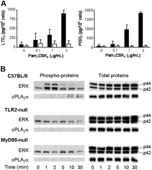Figure 3. Activation of ERK and cPLA2α and the ensuing LTC4 and PGD2 generation by BMMCs in response to Pam3CSK4 require TLR2 and MyD88. (A) BMMCs derived from Myd88-null (□) and wild-type C57BL/6 (■) mice were incubated for 60 minutes with the indicated concentrations of Pam3CSK4 for 60 minutes. The supernatants were assayed for LTC4 (left panel) and PGD2 (right panel) by EIA. (n = 3). Error bars indicate SEM. (B) BMMCs derived from Tlr2-null (n = 3), Myd88-null (n = 3), and wild-type C57BL/6 (n = 4) mice were incubated with 3 μg/mL Pam3CSK4 in a time-dependent manner. Pellets were analyzed for phosphorylated (left panels) or total (right panels) ERK and cPLA2α by Western blotting.