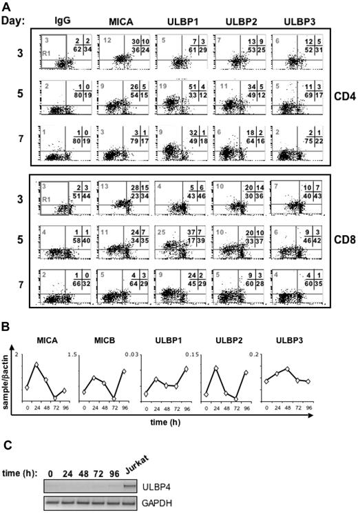 Figure 1. SEB-activated CD4+ and CD8+ T cells express NKG2D ligands on their cell surface. (A) PBMCs were CFSE-labeled and then stimulated with SEB. After 3, 5, and 7 days cells were harvested and stained with anti-CD8, anti-CD3, and antibodies specific for NKG2D ligands (MICA, ULBP1, ULBP2, and ULBP3), in a 4-color FACS analysis. Subpopulations of CD8+ and CD4+ T lymphocytes were identified by gating on CD8+ CD3+ or CD8− CD3+ cells, respectively, and further analyzed for the expression of NKG2D ligands. Progressive loss of CFSE fluorescence intensity in CD4+ or CD8+ T lymphocytes is indicated by the R1 region. The median of MFI relative to each ligand and calculated on cells gated in R1 (which includes both quadrants to the left) is shown. The percentage of cells in all the quadrants is also indicated. X-axis, CFSE fluorescence intensity. Y-axis, NKG2D ligand fluorescence intensity. A representative donor of 13 tested is shown. (B) MICA, MICB, ULBP1, ULBP2, and ULBP3 transcripts in SEB activated CD3+ T cells, quantitated by real-time PCR. PBMCs were stimulated with SEB, cells were harvested at different times, and CD3+ T lymphocytes were further purified by immunomagnetic positive selection and total RNA was isolated. Real-time PCR was performed as described in Materials and methods. Data were normalized by the amount of β-actin mRNA. The range of CT values for each ligand was as follows: 27 to 29 for MICA, 25 to 27 for MICB, 30 to 34 for ULBP1, 30 to 33 for ULBP2, 33 to 35 for ULBP3, and 15 to 18 for β-actin. (C) Reverse-transcriptase PCR analysis of ULBP4 and GAPDH in SEB-activated T cells. The number of PCR cycles was 36 (ULBP4) or 28 (GAPDH).
