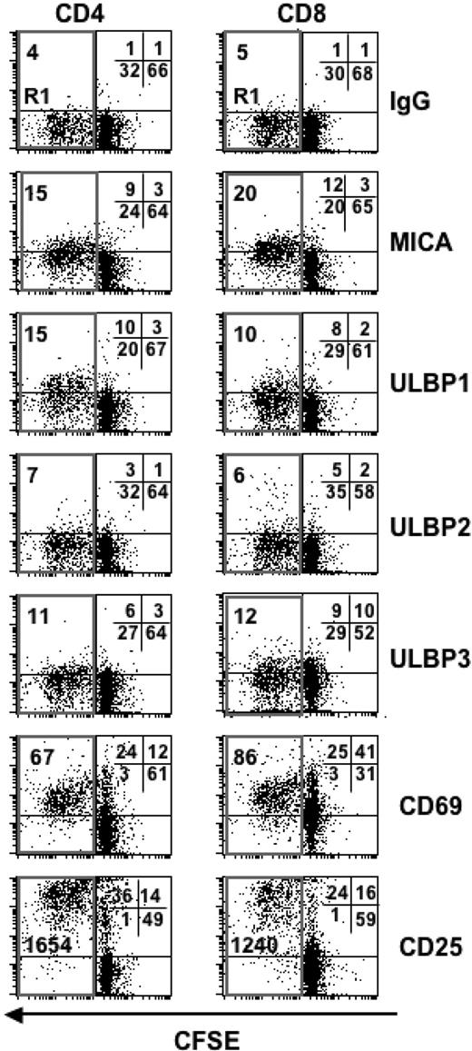 Figure 3. Alloantigen stimulation induces NKG2D ligands expression on responder CD4+ and CD8+ T cells. Highly purified CFSE-labeled CD4+or CD8+ T lymphocytes were cultured with irradiated allogeneic PBMCs and harvested after 5 days. Cells were stained with mAbs specific for NKG2D ligands (MICA, ULBP1, 2, and 3) or for the activation markers CD69 and CD25. CD4+or CD8+ T lymphocytes showing a progressive loss of CFSE fluorescence intensity are gated in the R1 region. MFI values relative to each molecule and calculated on cells gated in R1, are reported. The percentage of cells in all the quadrants is also indicated. A representative donor of 5 is shown.