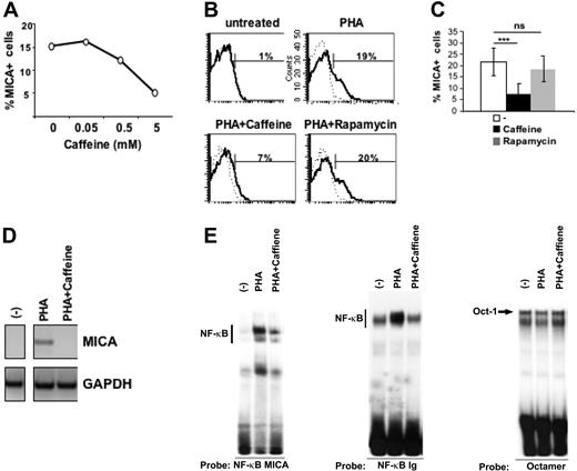Figure 7. Caffeine treatment inhibits MICA induction on activated T cells in an NF-κB dependent-manner. (A) PBMCs were pretreated with different doses of caffeine and then stimulated with PHA for 18 hours. Cells were stained with mAbs specific for CD3 and MICA and its expression was evaluated on CD3+ T cells. Data are represented as percentage of MICA-positive cells. A representative experiment of 4 is shown. (B) PBMCs were pretreated with caffeine (5 mM) or rapamycin (1 μM) and then stimulated with PHA for 18 hours. Cells were stained with mAbs specific for CD3, MICA (thick line), or control Ig isotype (dashed line). Expression of MICA was evaluated on CD3+ T cells. (C) PBMCs were prepared as described in panel B. Data are represented as the mean plus or minus one SD of the percentage of CD3+MICA+cells of 8 different healthy donors. Significant differences, as calculated by paired t test, are indicated: ***P < .001; ns, not significant. (D) PBMCs were pretreated with 5 mM caffeine and then stimulated with PHA. After 18 hours, CD3+ T cells were purified by positive immunomagnetic selection. Total RNA was isolated and used for reverse-transcription PCR reactions with primers specific for MICA and GAPDH. A representative experiment out of 5 is shown. (E) Electrophoretic mobility-shift assay was performed using the 32P-labeled NF-κB MICA, and the canonical NF-κB Ig oligonucleotide as a probe in the presence of nuclear extracts (10 μg), from unstimulated (−) or PHA-activated PBMCs (3 hours). Where indicated, PBMCs were pretreated with 5 mM caffeine and then stimulated with PHA for 3 hours. The same nuclear extracts were also used with a Octamer factor(s)-specific probe as a control. A representative experiment out of 3 is shown.