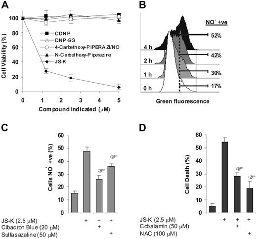 Figure 4. JS-K induced cytotoxicity is mediated via NO•. (A) MM.1S cells were cultured with 0 to 5 μM of JS-K (♦), 4-carbethoxy-piperazi/NO (○), N-carbethoxy-piperazine (▴), DNP-SG (▵), or CDNB (■) for 48 hours. Cell viability was assessed by MTT assay, and data represent means (± SD) of triplicate cultures. The final DMSO concentration in the cultures was 0.1% or less, which was found to be nontoxic (results not shown). (B) MM.1S cells were treated with JS-K (2.5 μM), and then intracellular NO• was detected by flow cytometry using the NO• indicator DAF-FM diacetate. The histogram plot shows the percentage of cells that have detectable levels of NO• at 1, 2, and 4 hours. (C) MM.1S cells were cultured with JS-K (2.5 μM) for 4 hours after 1 hour of preincubation with GST inhibitors Cibacron Blue (20 μM), or sulfasalazine (50 μM). Percentage of NO•-positive cells were then assayed by flow cytometry. Data represents mean (± SD) of triplicate experiments. *P < .01 compared with JS-K (2.5 μM)–only control. (D) MM.1S cells were cultured with JS-K (2.5 μM) for 24 hours after 2 hours of preincubation with NO• scavengers cobalamin (50 μM) or NAC (100 μM). Cell death was assayed by flow cytometry after PI staining. Data represents mean (± SD) of triplicate cultures. *P < .01 compared with JS-K–only control.