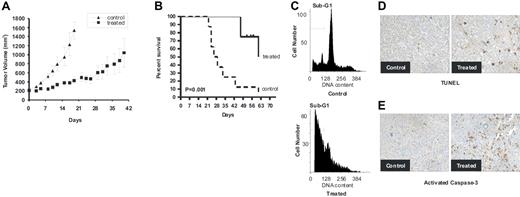 Figure 7. JS-K inhibits human MM cell growth in vivo. NIH III mice were inoculated subcutaneously in the flank with 3 × 107 OPM1 cells. When tumors became palpable, JS-K (4 μmol/kg; n = 9) or vehicle (n = 8) was administered intravenously 3 times per week. (A) JS-K significantly inhibits MM tumor growth compared with the controls. Tumor volumes are represented as means (± SE). (B) JS-K markedly increases survival of the host. Survival was evaluated using Kaplan-Meier curves and log-rank analysis. JS-K significantly increased survival (P = .001) compared with the control group. (C-E). JS-K induces apoptosis in vivo. Mice were killed 4 hours after the last treatment, and tumors were excised for PI (C), TUNEL (D), or activated caspase-3 (E) analysis. Representative images captured at 40 ×/0.60 are shown.