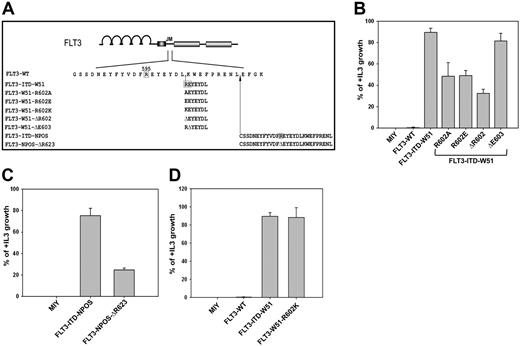 Figure 4. The positive charge of duplicated arginine 595 is critical for the transforming potential of FLT3-ITDs. (A) Shown are 3 different substitution and 2 deletion mutants of duplicated R595 generated in 2 different FLT3-ITDs (W51 and NPOS). The deletion mutant of duplicated E596 in FLT3-ITD-W51 is also shown. (B) Ba/F3 cells stably transduced with FLT3-WT, FLT3-ITD-W51, FLT3-W51-R602A, FLT3-W51-R602E, FLT3-W51-ΔR602, FLT3-W51-ΔE603, or mock-transduced cells were seeded at a density of 4 × 104 cells/mL in the absence or presence of IL-3. Viable cells were counted after 72 hours. The growth of cells with IL-3 was defined as 100% (control). Standard error of the mean calculated from 3 independent experiments is indicated. (C,D) The mutants FLT3-NPOSΔR623 and FLT3-W51-R602K were expressed in Ba/F3 cells and analyzed as described in panel B.