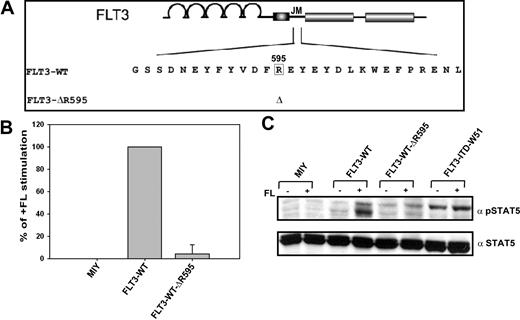 Figure 7. Deletion of wild-type R595 in FLT3-WT abrogates the ligand-dependent activation of FLT3-WT in Ba/F3 cells. (A) Schematic representation of wild-type R595 (FLT3-WT-ΔR595) deletion mutant in the FLT3-WT construct. (B) Ba/F3 cells expressing the FLT3-WT, FLT3-WT-ΔR595, FLT3-ITD-W51, and mock-transduced cells were seeded at a density of 4 × 104 cells/mL in the absence or presence of IL-3 and FL (60 ng/ml). Viable cells were counted after 72 hours by trypan blue exclusion. The growth of cells with FL was defined as 100% (control). The standard error of the mean calculated from 3 independent experiments is indicated. (C) Western blot image showing the abrogation of activation of STAT5 in cells expressing FLT3-WT-ΔR595, when compared to FLT3-ITD-W51 and FLT3-WT, upon stimulation of FL (60 ng/mL). Cells were starved in the presence of 0.3% FBS for 24 hours. Blots were incubated with anti–phospho-STAT5 antibody, stripped, and reblotted with anti-STAT5 antibody.