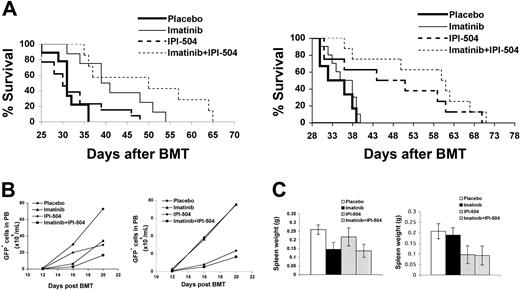 Figure 3. Hsp90 is a therapeutic target for B-ALL induced by BCR-ABL-T315I. (A) Treatment with the Hsp90 inhibitor IPI-504 prolonged survival of mice with B-ALL induced by BCR-ABL-T315I (right panel) but not by BCR-ABL-WT (left panel). B-ALL mice treated with a placebo (n = 9 for BCR-ABL-WT; n = 8 for BCR-ABL-T315I), imatinib (n = 8 for BCR-ABL-WT; n = 10 for BCR-ABL-T315I), IPI-504 (n = 13 for BCR-ABL-WT; n = 8 for BCR-ABL-T315I), and combination of imatinib and IPI-504 (n = 10 for BCR-ABL-WT; n = 8 for BCR-ABL-T315I). (B) Flow cytometric evaluation of the leukemic process in IPI-504– or imatinib-treated mice with B-ALL induced by BCR-ABL-WT (left panel) or BCR-ABL-T315I (right panel). The number of circulating leukemic cells (calculated as percentage of B220+ GFP+ cells × white blood cell count) in B-ALL mice treated with placebo, imatinib, IPI-504, or the combination of imatinib and IPI-504 was determined on days 11, 14, and 17 after transplantation. (C) Spleen weights of B-ALL mice treated with placebo, imatinib, IPI-504, and combination of imatinib and IPI-504. (Left panel) BCR-ABL-WT. (Right panel) BCR-ABL-T315I.