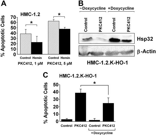 Figure 5. Hsp32-mediated rescue of HMC-1 cells from the effects of PKC412. (A) HMC-1.2 cells were cultured in control medium or hemin (10 μM) at 37°C and then were exposed to PKC412 at 1 μM (left panel) or 5 μM (right panel) for 48 hours. Thereafter, the number of apoptotic cells were determined by light microscopy. Results show the percentage of apoptotic cells and represent the mean (± SD) of 3 independent experiments. *P <.05. In the absence of PKC412, the percentage of apoptotic cells ranged between 1% and 3% (not shown). (B) Doxycycline-induced expression of Hsp32/HO-1 in HMC-1.2.K-HO-1 cells. HMC-1.2.K-HO-1 cells were incubated in the absence or presence of doxycycline (1 μg/mL) at 37°C for 24 hours. When added, PKC412 (1 μM, 24 hours) was found to down-regulate the expression of Hsp32 to trace amounts in the absence of doxycycline, whereas the doxycycline-induced expression of Hsp32 in these cells could not be completely abrogated by PKC412. (C) HMC-1.2.K-HO-1 cells were incubated in the absence or presence of doxycycline (1 μg/mL) at 37°C for 24 hours. Then, cells were exposed to control medium or PKC412 (0.5 μM) at 37°C for 24 hours. Thereafter, the numbers of apoptotic cells were assessed by light microscopy. Results represent the mean (± SD) of 3 independent experiments. *P < .05.