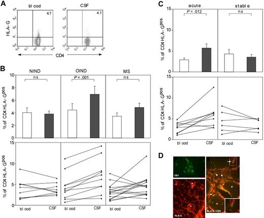 Figure 7. HLA-G T cells are present in sites of neuroinflammation and inflammatory myopathies. (A) FACS analysis of paired blood and CSF specimens from patients with and without neuroinflammatory diseases was performed. Gates for CD4+ lymphocytes were set on CD4/FSC dot blots, and the percentage of HLA-Gpos cells was assessed in comparison with a negative control. A representative staining of 1 patient is shown. (B) Summary of paired samples of blood and CSF specimens for CD4 HLA-Gpos T cells from NIND (left), OIND (middle), and MS (right) patients. Mean with SEM for each patient group is shown in upper panel; single pairing of blood-CSF samples for each patient is shown in lower panel. (C) Comparison of CD4 HLA-Gpos T-cell percentages of MS patients in acute or stable phase of the disease. Again mean with SEM is shown in upper panel; lower panel shows single patient pairing. (D) Consecutive cryosections of muscle from patients with polymyositis were stained with the HLA-G–specific mAb 87G, the CD8 mAb B9.11 either as single staining (left column) or as double immunofluorescence. Besides some muscle fibers (asterisk), part of the CD8 T cells (arrowhead and arrows), found to surround or even invade muscle fibers, also stains positive for HLA-G. Original magnifications: HLA-G single staining: (magnification × 250); CD8 single staining and CD8/ HLA-G double staining: (magnification × 500). Sections were analyzed using an Axiophot 2 microscope (Zeiss, Oberkochen, Germany).