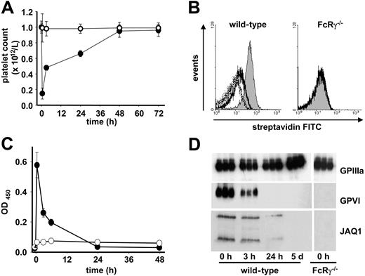 Figure 1. GPVI down-regulation through ectodomain shedding. Wild-type (•) or FcRγ−/− (○) mice received 20 μg biotinylated JAQ1 intravenously and (A) platelet counts were determined. (B) Surface-bound JAQ1 was detected by flow cytometric measurement of streptavidinFITC binding after 10 minutes (black line) and 30 minutes (dotted line). The shaded area represents maximal binding (t = 0 minutes) as determined after in vitro incubation of platelets with 20 μg/mL JAQ1biotin followed by streptavidinFITC. (C) Detection of sGPVI/JAQ1biotin complex in plasma of wild-type (•) or FcRγ−/− (○) mice at the indicated time points after antibody injection. (D) Western blot analysis of platelets at the indicated time points. (A,C) Results are expressed as the mean platelet count ± SD for groups of 6 mice each. (B,D) The results are representative of 3 individual experiments.