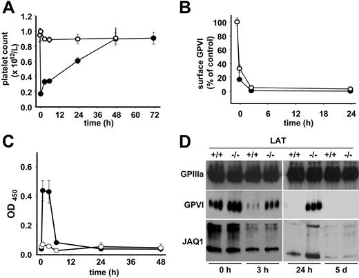 Figure 3. LAT is required for shedding but not for internalization/intracellular clearing of GPVI. Wild-type (•) or LAT−/− (○) mice received 20 μg biotinylated JAQ1 intravenously and (A) platelet counts were determined. (B) Surface-bound JAQ1biotin was detected by flow cytometric measurement of streptavidinFITC binding and is given as percentage of maximal binding determined in vitro. (C) Detection of sGPVI/JAQ1biotin complex in plasma at the indicated time points after antibody injection. (A-C) Results are expressed as the mean platelet count ± SD for groups of 6 mice each. (D) Western blot analysis of platelets at the indicated time points. The results are representative of 3 individual experiments.
