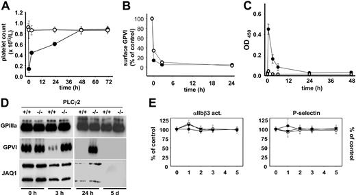 Figure 5. A PLCγ2-independent pathway of GPVI-down-regulation. Wild-type (•) or PLCγ2−/− (○) mice received 20 μg biotinylated JAQ1 intravenously and (A) platelet counts were determined. (B) Surface-bound JAQ1biotin was detected by flow cytometric measurement of streptavidinFITC binding and is given as percentage of maximal binding determined in vitro. (C) Detection of sGPVI/JAQ1biotin complex in plasma at the indicated time points after antibody injection. (A-C) Results are expressed as the mean platelet count ± SD for groups of 6 mice each. (D) Western blot analysis of platelets at the indicated time points. The results are representative of 3 individual experiments. (E) JAQ1 does not alter thrombin responses in PLCγ2−/− mice. Washed platelets were prepared at the indicated time points after JAQ1 treatment and stimulated with 0.1 (▾), 0.01 (○), or 0.001 (•) U/mL thrombin. Activation of integrin αIIbβ3 and surface expression of P-selectin were determined by flow cytometry and are given as percentage ± SD of the values obtained with untreated controls (n = 6 per group). Platelets were gated by FSC/SSC characteristics and FL-4 positivity (anti–GPIbα-Cy5).