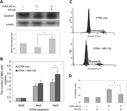Figure 6. MG-132, a proteosome inhibitor, suppresses ATRA-induced cyclin D1 degradation and cell-cycle arrest. (A) NB4 cells were cultured in the presence of 0.5 μM ATRA for 24 hours and then treated with or without 5 μM MG-132 for 30 minutes. After being incubated in ATRA for another 24 hours, the cells were lysed and cellular cyclin D1 protein level was analyzed using Western-blot analysis as described in Figure 4B. The degradation of cyclin D1 in ATRA-treated cells is significantly suppressed by MG-132 incubation (n = 3, *P < .05). (B) Treatment with MG-132 promotes NB4 cell proliferation in the presence of ATRA. NB4 cells were cultured in liquid medium containing 0.5 μM ATRA and treated with MG-132 as described in Figure 6A. Cell proliferation was assessed as described in Figure 2B. Bars indicate mean (± SD, n = 3, *P < .05). (C) MG-132 suppresses ATRA-induced G0/G1 cell-cycle arrest. NB4 cells were treated with ATRA and MG-132 as described in panel A. Cell-cycle analysis was carried out as described in Figure 5A. The figure shows the results of a representative experiment. (D) The percentage of cells arrested in G0/G1 phase was quantified using a ModFIT software as described in Figure 5B. Data presented are the means (± SD) of 3 independent experiments. P < .01 versus MG132-untreated cells.