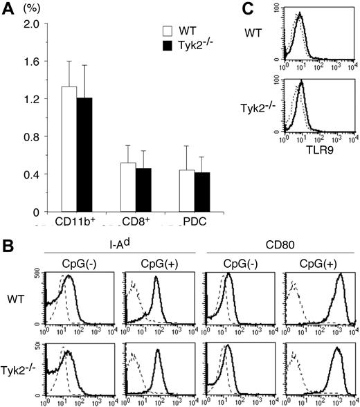 Figure 1. Differentiation and maturation of DCs are normal in Tyk2−/− mice. (A) Splenocytes from wild-type (WT) mice and Tyk2−/− mice were stained with anti-CD11c FITC, anti-CD11b PE, anti-B220 PerCP, anti-CD3 PerCP, and anti-CD8 allophycocyanin or with anti-CD11c FITC, DX-5 PE, anti-CD11b PE, TER-119 PE, CD19 PE, anti-CD3 PerCP, and anti-B220 allophycocyanin, and the stained cells were analyzed by FACS. The frequencies of CD11b+ DCs (CD11c+ CD11b+ B220− CD3− CD8− cells), CD8+ DCs (CD11c+ CD8+ CD11b− B220− CD3− cells), and plasmacytoid DCs (PDCs) (CD11c+ B220+ CD3− CD11b− CD19− cells) are shown. Data are means (± SD) for 5 mice in each group. (B) Isolated CD11c+ DCs from WT splenocytes or Tyk2−/− splenocytes were cultured with CpG ODN (10 μg/mL) for 3 days and analyzed for the expression of I-Ad and CD80 by FACS. As controls, freshly isolated CD11c+ DCs from WT splenocytes or Tyk2−/− splenocytes were analyzed for the expression of I-Ad and CD80. Shown are representative histograms from 4 independent experiments. Dashed lines indicate the staining with isotype-matched control antibodies. (C) Isolated CD11c+ DCs from WT splenocytes or Tyk2−/− splenocytes were subjected to intracellular staining with anti-TLR9 antibody (bold lines) or control antibody (dashed lines). Shown are representative histograms from 3 independent experiments.
