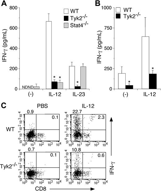 Figure 3. IL-12– and IL-23–induced IFN-γ production is impaired in Tyk2−/− DCs. (A) Isolated CD11c+ DCs from WT, Tyk2−/−, or Stat4−/− splenocytes were cultured with IL-12 (20 ng/mL) or IL-23 (20 ng/mL) for 3 days. The amounts of IFN-γ in the supernatants were measured by ELISA. Data are means (± SD) from 5 independent experiments. ND indicates not detectable. *Significantly different from the corresponding mean values of WT DCs, *P < .01. (B) Isolated CD11c+ DCs from WT or Tyk2−/− splenocytes were cultured with CpG ODN for 3 days. After cells were washed and rested in fresh medium for 12 hours, cells were stimulated with IL-12 (20 ng/mL) for 3 days. The amounts of IFN-γ in the supernatants were measured by ELISA. Data are means (± SD) from 4 independent experiments. *Significantly different from the corresponding mean values of WT DCs, *P < .05. (C) Isolated CD11c+ DCs from WT or Tyk2−/− splenocytes were cultured with IL-12 (20 ng/mL) for 72 hours with monensin added for the final 4 hours. Cells were stained with anti-CD11c FITC and anti-CD8 PE and then the production of IFN-γ was evaluated by intracellular staining by FACS. Representative FACS profiles of CD8 versus IFN-γ gated on CD11c+ cells are shown (n = 4, each).