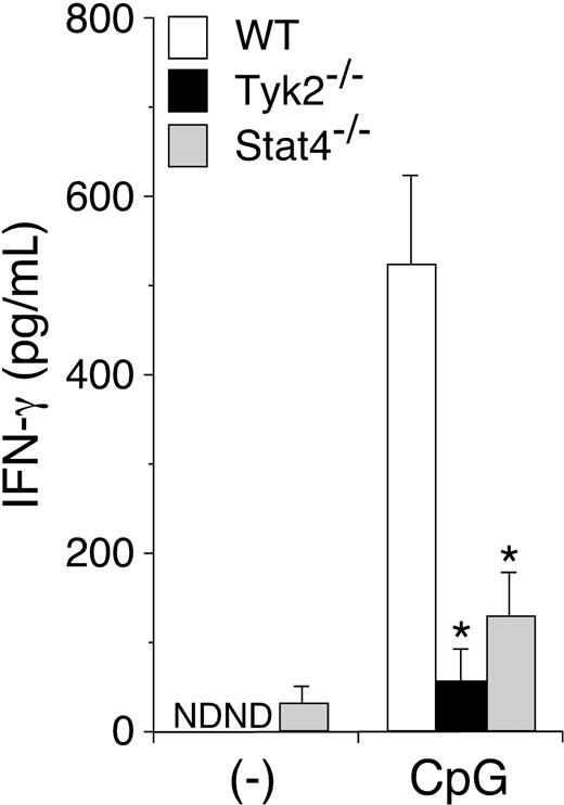 Figure 4. CpG ODN–induced IFN-γ production is diminished in Tyk2−/− DCs. Isolated CD11c+ DCs from WT, Tyk2−/−, or Stat4−/− splenocytes were cultured with CpG ODN for 3 days. The amounts of IFN-γ in the supernatants were measured by ELISA. Data are means (± SD) from 5 independent experiments. ND indicates not detectable. *Significantly different from the mean value of WT DCs, *P < .01.