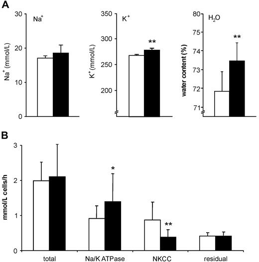 Figure 1. Concentration of the major intracellular cations, water content, and potassium fluxes of wt (open bars) and tg6 (black bars) erythrocytes. (A) The intracellular sodium concentration was unaffected, whereas the potassium concentration was significantly elevated in tg6 erythrocytes. Accordingly, the water content of tg6 erythrocytes was higher compared with wt ones. (B) The increased intracellular potassium concentration was due to an increased ouabain-sensitive (active, Na/K-ATPase) transmembral potassium flux coupled with a suppression of the bumetanide-sensitive (passive, NKCC) flux. Means ± SD; *P < .05; **P < .01.