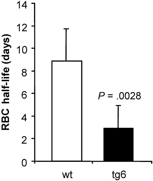 Figure 2. Decay of biotin-x-N-hydroxysuccimide ester–labeled erythrocytes. The percentage of labeled cells (day 0, set to 100%) was measured every 3 to 4 days until less than 0.5% labeled cells was found and the data were plotted against the day of sampling. For each individual mouse, an exponential regression equation was determined that was used to calculate the erythrocytes' half live as shown in the figure. Life span of tg6 erythrocytes is reduced to almost a third compared with wt erythrocytes. Means ± SD; n = 5-6.