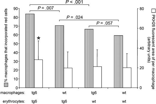 Figure 4. Assessment of macrophage activity. Hatched bars represent the percentage of macrophages that incorporated at least one red cell. Tg6 macrophages incubated together with tg6 erythrocytes showed the highest phagocytotic activity followed by wt macrophages incubated with tg6 erythrocytes. Wt macrophages were less active compared with tg6 macrophages when coincubated with tg6 or wt erythrocytes, respectively. Tg6 erythrocytes were significantly more attractive than wt erythrocytes for both tg6 and wt macrophages. Moreover, the PKH26 fluorescent area of per single macrophage (open bars) was significantly larger in tg6 macrophages coincubated with tg6 erythrocytes compared with all other combinations of macrophages and erythrocytes. P values for hatched bars were calculated using a Fischer test, and for open bars using a 2-tailed Student t test for unpaired samples. Means ± SD of 4 independent experiments each; *P < .05.