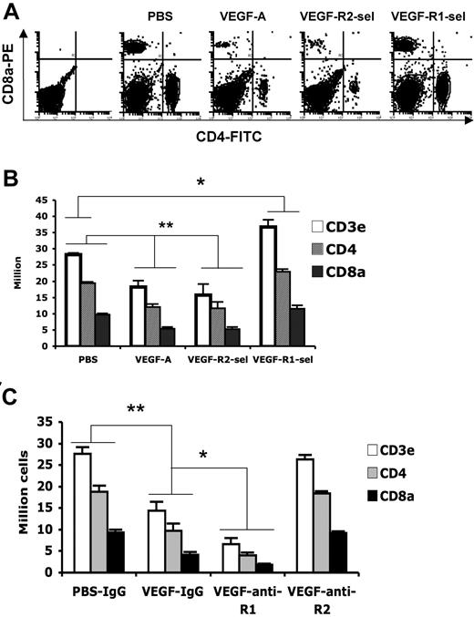 Figure 4. VEGF decreases splenic T cells via VEGFR-2 and VEGFR-1 slightly decreases the inhibition of VEGFR-2. Age-matched Balb/c mice were given PBS or VEGF receptor agonists for 28 days as described in Figure 1. (A) Flow cytometric analysis of the expression of CD4 and CD8a in splenocytes. The representative FACS plots were shown. The first plot is the isotype control. (B) The total numbers of T-cell subsets in spleens. The data (mean ± SEM, n ≥ 3) repeat 3 times. (C) Balb/c mice were given PBS treated with rat IgG, or rhVEGF-treated rat IgG, anti-R1, or anti-R2 as described in Figure 1C. The total numbers of T-cell subsets in spleen were shown. The data (mean ± SEM, n ≥ 5) repeat 2 times. *P < .05; **P < .01.