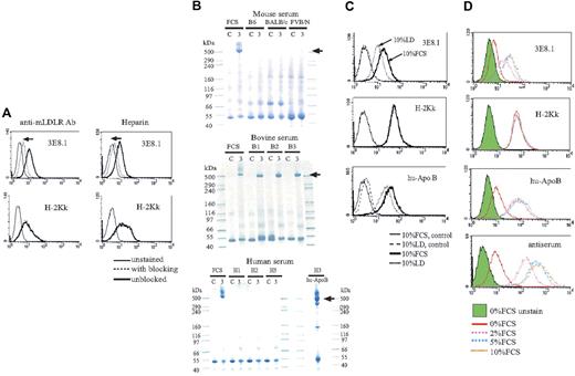 Figure 3. The target of antibody responses is bovine apoB. (A) 3E8.1 binding to BW cells (thick solid lines) is blocked with antimouse LDL receptor antibody and heparin (dotted lines) but the binding of H-2Kk antibody is not blocked. (B) Sera from mice, adult cows, and human donors were immunoprecipitated by 3E8.1 or isotype-matched control. Human serum was immunoprecipitated by antihuman apoB antibody (bottom, right). “C” refers to immunoprecipitation using isotype matched control antibody and “3” to immunoprecipitation with 3E8.1 mAb. (C) BW cells cultured with 10% FCS (dark solid line) or 10% lipoprotein deficient (LD) medium (dotted line) were stained with indicated antibodies. Isotype-matched antibody (thin solid line) and normal rabbit Ig (dashed line) are negative controls. (D) BW cells incubated for 1 hour in PBS containing various concentrations of FCS were stained with indicated reagents.