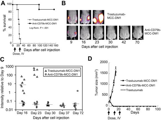 Figure 3. Anti-CD79b-MCC-DM1 can completely regress subcutaneous and disseminated xenograft tumors. Anti-CD79b-MCC-DM1 causes tumor regression in a disseminated tumor model of NHL. Mice were injected intravenously via tail vein with 5 × 106 BJAB-luc cells and grouped into 2 even groups based on tumor burden as evaluated by BLI 9 days after cell injection and treated 2 times 1 week apart with 5 mg ADC/kg mouse (99 μg conjugated DM1/kg mouse) anti-CD79b(SN8)-MCC-DM1 or 5 mg ADC/kg mouse (108 μg conjugated DM1/kg mouse) trastuzumab-MCC-DM1. Tumor burden was evaluated by weekly BLI and mice were euthanized if they became moribund. (A) Kaplan-Meier survival plot of the treated mice. (B) Representative bioluminescence images showing disease progression in a trastuzumab-MCC-DM1 and an anti-CD79b-MCC-DM1 treated mouse. (C) Quantitation of mean bioluminescence intensity for individual animals over time for treatment and control groups. The plot shows variation in signal normalized to the signal intensity just before the start of treatment (day 9). (D) Anti-CD79b-MCC-DM1 can be curative in xenograft models. Growth curves for subcutaneously implanted BJAB cells. Cells were allowed to grow to an average of 200 mm3 and then given 3 weekly doses intravenous of 79 μg antibody linked drug/kg (≈5 mg/kg) anti-CD79b(SN8)-MCC-DM1 or trastuzumab-MCC-DM1, or 10 mg/kg trastuzumab.