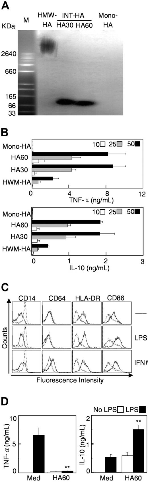 Figure 4. INT-HA induced early activation of monocytes and subsequent formation of immunosuppressive Mφ. (A) HMW-HA (lane 1) was digested by exposure to hyaluronidase for 30 (lane 2) or 60 (lane 3) minutes, and the resulting INT-HA fragments were separated by agarose gel electrophoresis and visualized with Stain-All. HA monomer was loaded in lane 4. (B) Monocytes were cultured for 18 hours in the presence of 10 (open bars), 25 (shaded bars), or 50 (solid bars) μg/mL of the different HA preparations. Levels of TNF-α and IL-10 in the medium were determined by enzyme-linked immunosorbent assay. (C-D) Cells were cultured for 6 days in medium alone (solid lines) or with 50 μg/mL INT-HA from 60-minute digestion (dashed lines). Thereafter, Mφ were left untreated (Med) or were stimulated with LPS or IFN-γ for 18 hours. Expression of cell surface markers and release of cytokines were determined as described in Figure 1. Data given are means (± SE; n = 4); **P < .01, compared with Mφ cultured in medium alone.