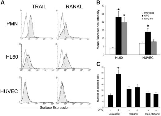 Figure 6. Cell surface binding of recombinant OPG. (A) surface expression of TRAIL and RANKL in PMNs, HL60 cells, and HUVECs was evaluated by flow cytometry. The control (unshadowed) histograms represent the background fluorescence obtained from the staining of the same cultures with isotype-matched control antibodies. One of 4 experiments with similar results is shown. (B) HL60 and HUVECs were incubated with either recombinant OPG or OPG-Fc, and binding to cell surface was revealed by flow cytometry. Results are expressed as mean fluorescence intensity and are mean ± SD of determinations of 3 separate experiments. (C) The specific contribution of heparan sulfate proteoglycans in OPG-mediated leukocyte adhesion was evaluated by pretreatment of OPG with heparin or pretreatment of HUVECs with heparinase I, II, and III (Hep.) plus Chondroitinase (Chond.) before adhesion assays. Values are mean ± SD of triplicate determinations of 3 separate experiments. ∗, P > .05.
