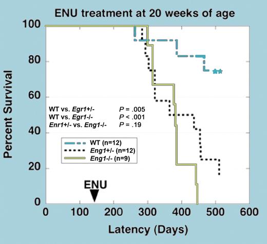 Survival curves of mice treated with ENU (includes T-cell lymphoma, MPD, and other causes). See the complete figure in the article beginning on page 719.
