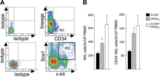 Figure 3. Mobilization of SKL and CD34− SKL cells in mice mobilized with G-CSF or GRO. (A) Lin− PBMC were stained with anti-c-kit, anti-Sca-1, and anti-CD34. The upper plots show isotype (left) and CD34 and lineage marker staining (right). The R1 gate represents CD34− lin− cells. The bottom left plots show the isotype (left) and c-kit and Sca-1 staining in CD34− lin− cells (right) in the R1 gate. The R2 gate represents c-kit+ Sca-1+ cells. The plot shown is representative data acquiring approximately 0.5 × 103 SKL events in the CD34− lin− cell fraction. (B) SKL cells (left panel) and CD34− SKL cells (right panel) in 2 × 106 PBMCs. Data are expressed as mean (± SEM) from 6 replicates of 10 mice per group in 2 experiments. †P < .05 compared with G-CSF; ‡Synergy compared with G-CSF or GROβΔ4, P < .05, determined using ANOVA with Bonferroni multiple comparison test.